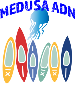 Logotipo transparente Medusa ADN